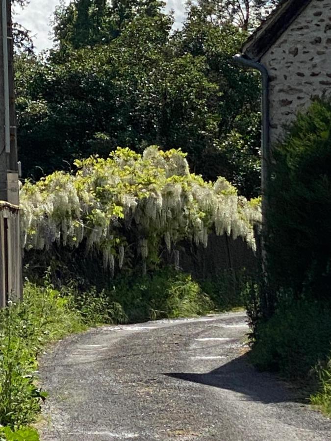 サン・シル・ス・ドゥルダン Le Moulin Bleu Bed & Breakfast エクステリア 写真